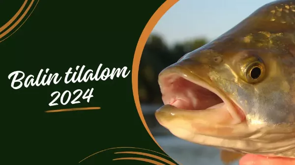 Balin tilalom 2024 – mindjárt itt van, kíméljük az ívási időszakban!